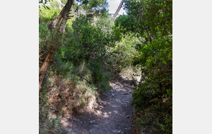Chemin de descente sur Port Pin