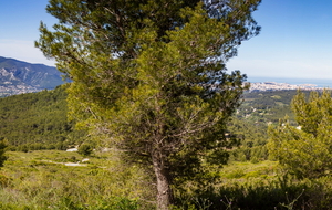 Vue sur le Mont Carpiagne (surplombant le 11ème arrondissement de Marseille) jusqu'au 14ème