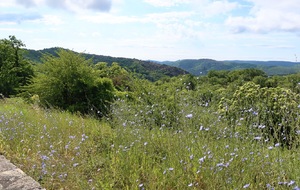 6a2ab15594996_IMG8683.jpg