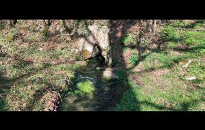 82 - Septfonds, boucle par la source du Daudou