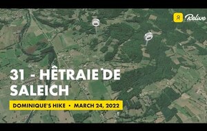 31 - Hêtraie de Saleich