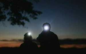 31 - Rando de nuit - Forêt de Buzet 2026