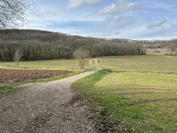 81 - Deux Puechs au Sud d'Albi