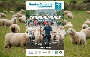 31-Transhumance des Brebis à Launaguet 2026