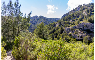 Dans la montée vers le retour au domaine de Luminy vue sur la crête de Morgiou