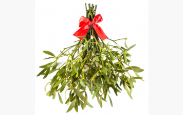 Calendrier 1er trimestre de la nouvelle année 2026