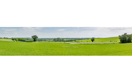 D31 route de Naussens, vue vers l'est, sud-est