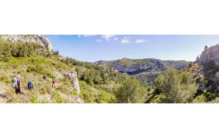 Dans la montée vers le retour au domaine de Luminy vue sur la crête de Morgiou au deuxième plan