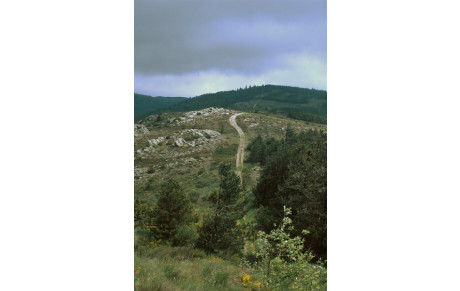 Randonnée Crêtes de Saint Marti