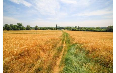 Randonnée Circuit boisé de La Capelle
