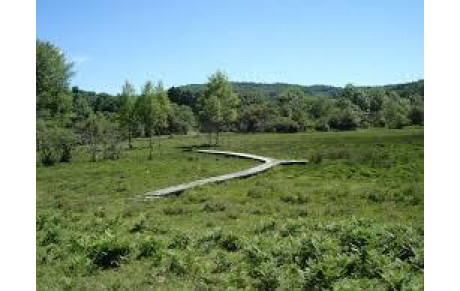 Randonnée Tourbière Canroute