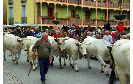 Dimanche 5 juin 2016 Transhumance à Bethmale Ariège