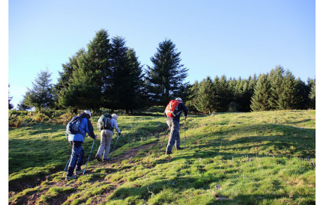 Les batons de randonnées