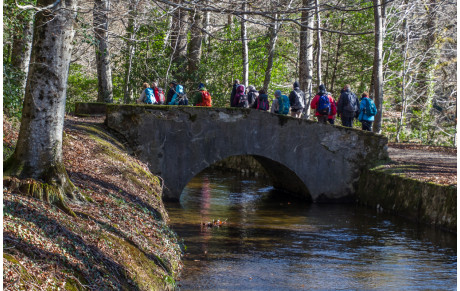 Les affaires reprennent........