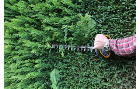 Une preuve du changement climatique dans nos jardins