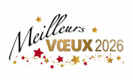 Meilleurs Voeux 2026
