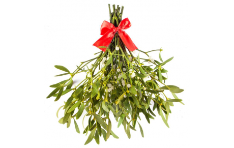 Calendrier 1er trimestre de la nouvelle année 2026