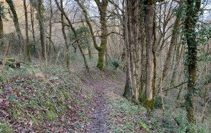 81 - Penne - Saint Paul Mamiac - Les Abriols