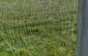 46 - Circuit de Lugagnac au départ de Limogne