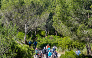 13 - Séjour Calanques - J2: Calanques de Sormiou & Morgiou