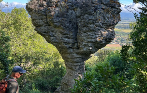 11 - Floure-Chateau de  Miramont-Alaric