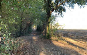 32 - Cologne-Saint Germier-Saint Cricq