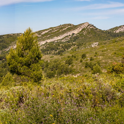 13 - Séjour Calanques - J4: Le Garlaban - Puits de Raimu - Dans le début de la montée vers le Garlaban, vue de  Marseille (ND de la Garde ) jusqu'à la Grande Tête Rouge
