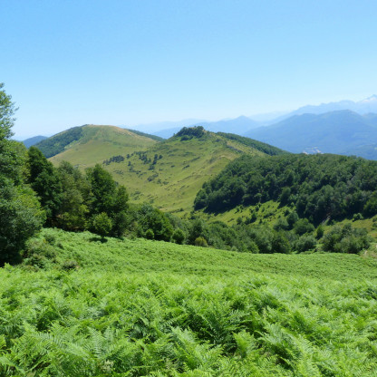 2026 07 Cournudere Paloumere en boucle