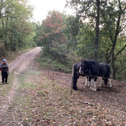 81 - Briatexte, sentier des Crêtes
