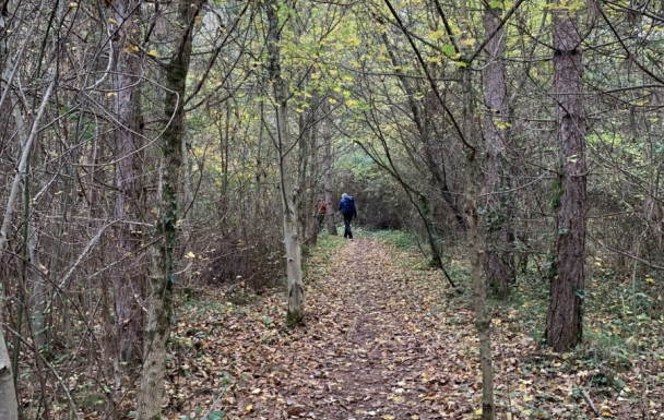 09 - Autour de Montgailhard - Roc de Sainte-Julie
