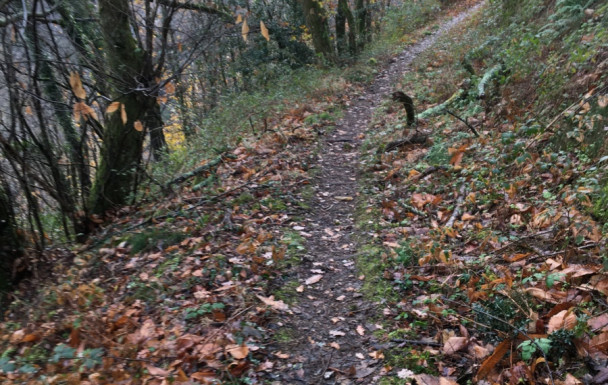 81 - La passerelle d'Hautpoul - Chapelle St Pierre de Plots