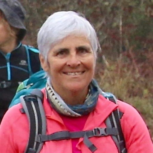 Michelle L'hermite